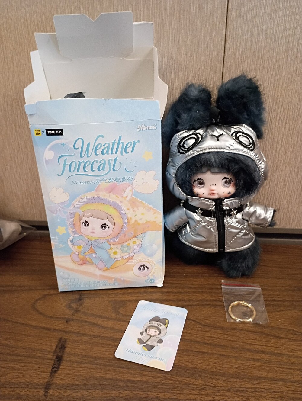 Confirmed Thunderstorm Nommi Weather Forecast Plush Doll
